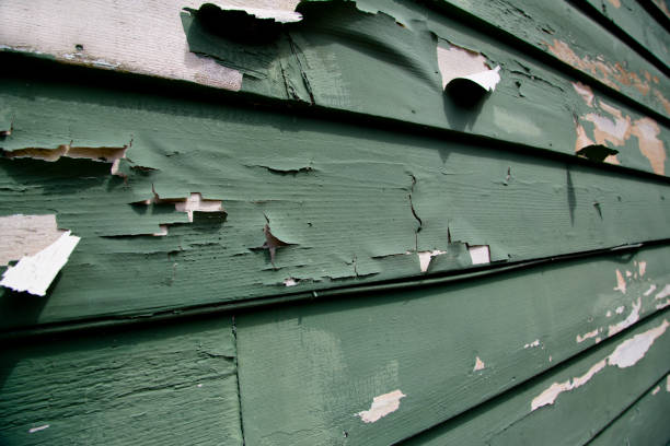 Best Moving and Downsizing Cleanouts  in Westfield, IN