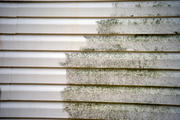 Best Property Management Cleanouts  in Westfield, IN