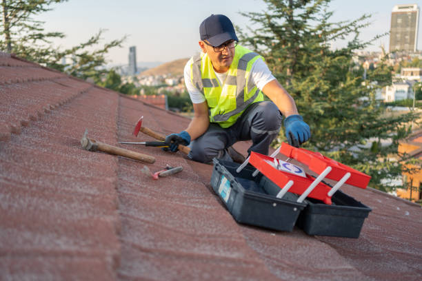 Best Carpet Removal and Disposal  in Westfield, IN